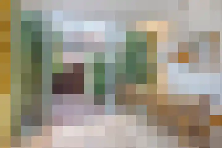 Voornestraat 9 Amsterdam thumbnail 7