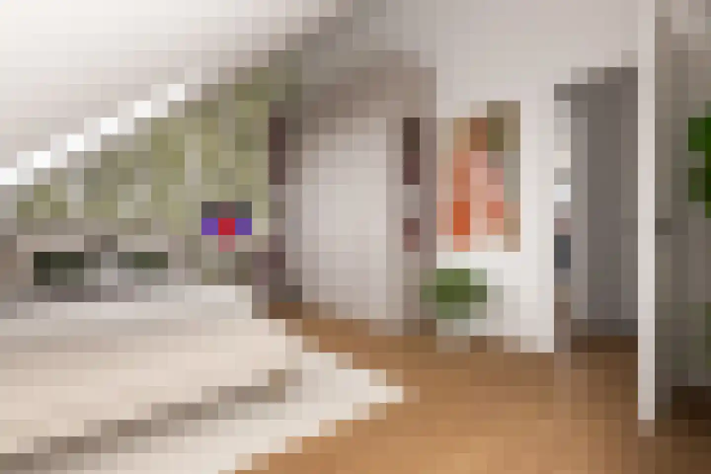 Voorneveldstraat 10 Pernis Rotterdam thumbnail 46