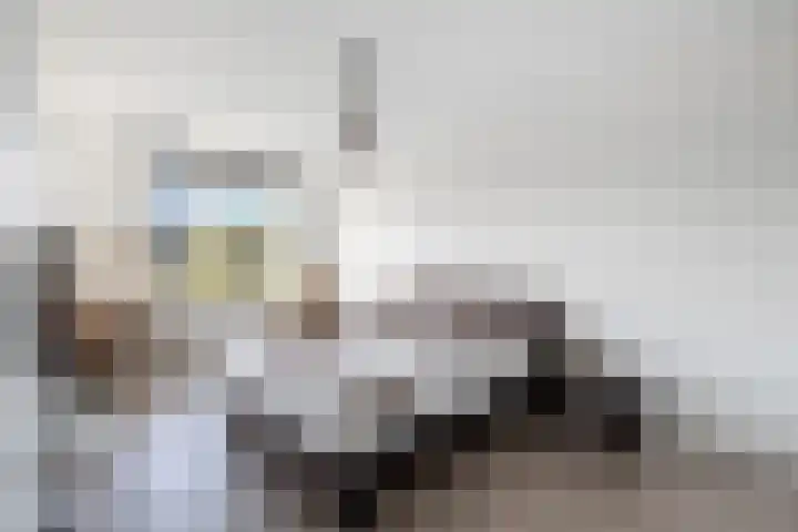 Voorneveldstraat 14 Pernis Rotterdam thumbnail 8