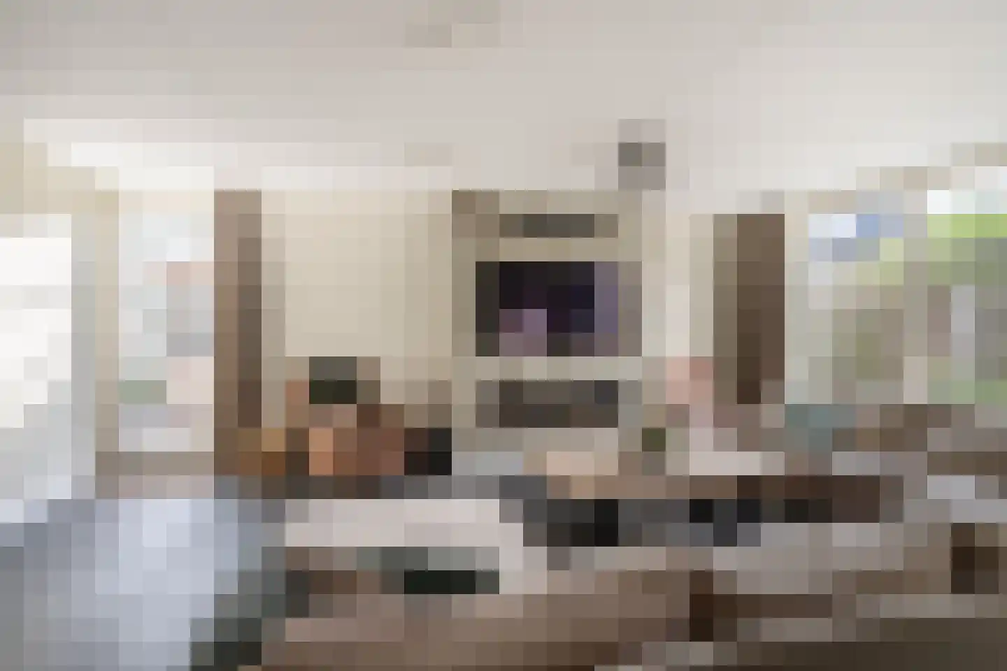 Voorneveldstraat 6 Pernis Rotterdam thumbnail 8
