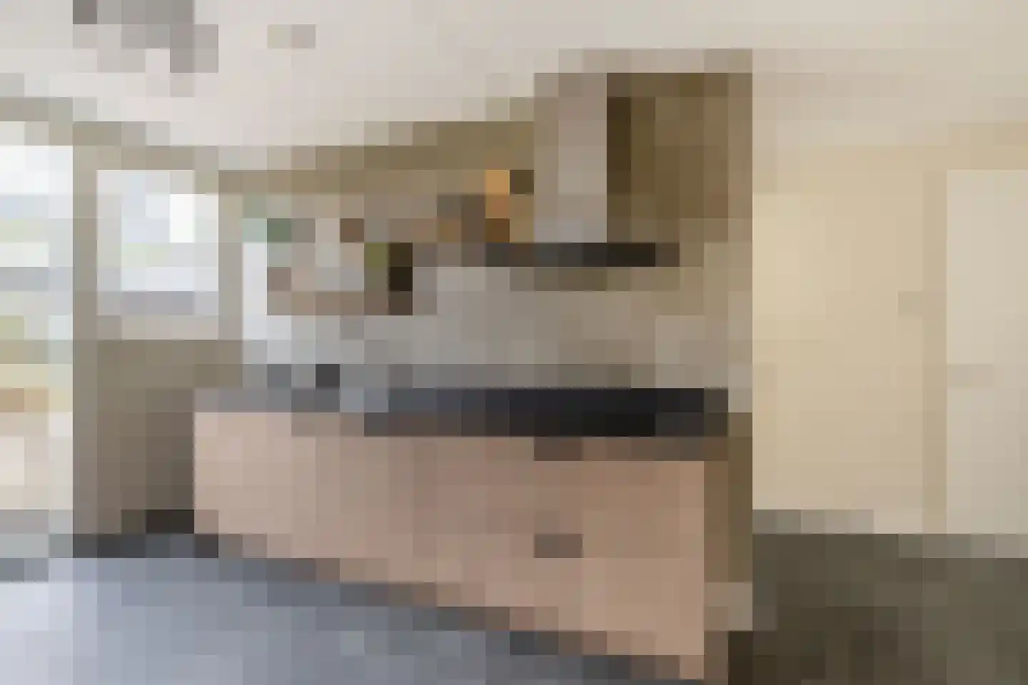 Voorneveldstraat 6 Pernis Rotterdam thumbnail 9