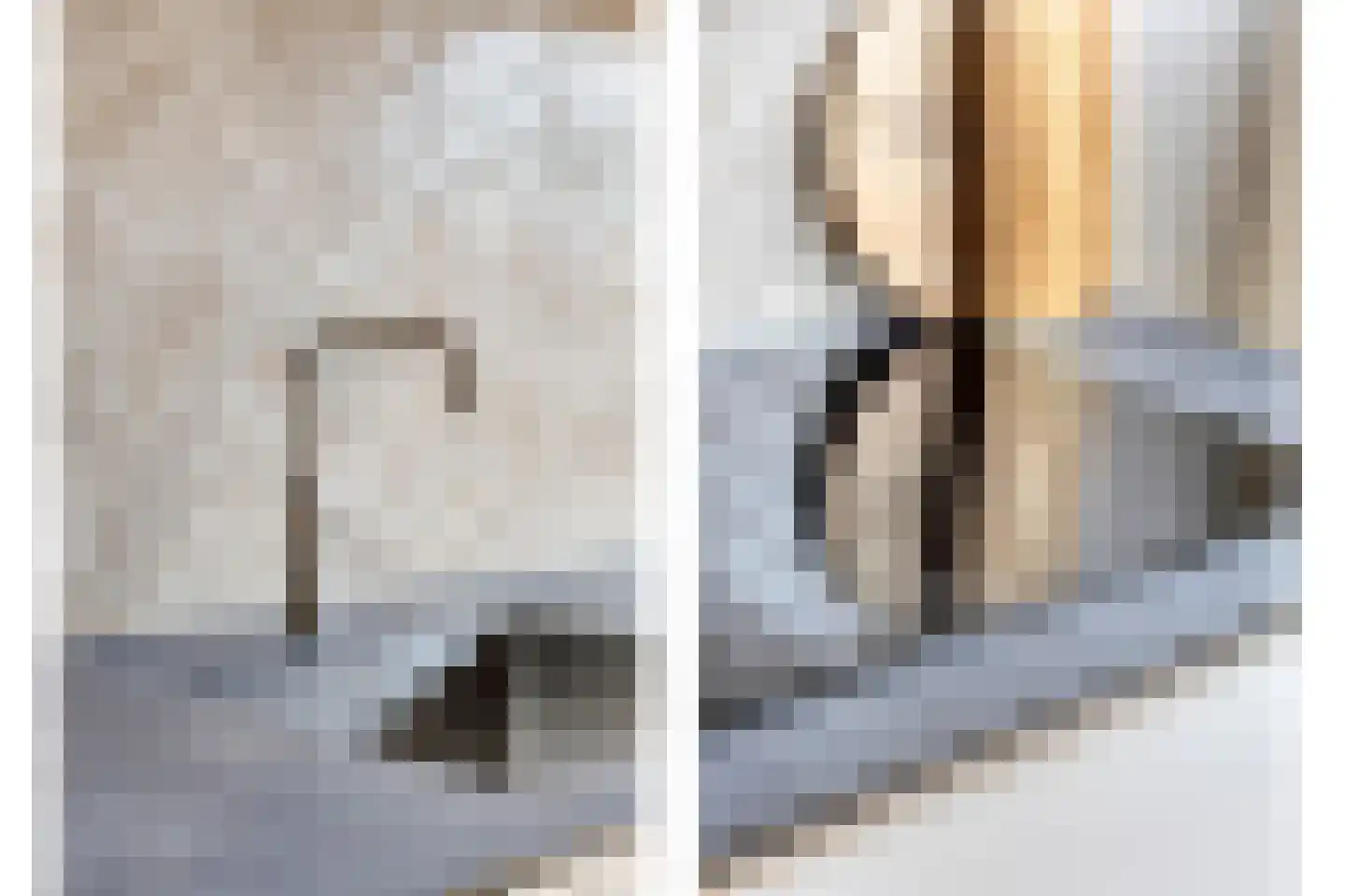 Voorneveldstraat 8 Pernis Rotterdam thumbnail 19