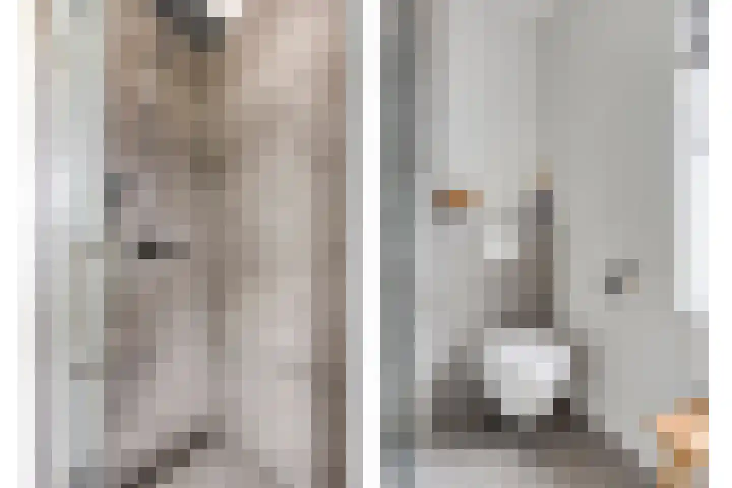 Voorneveldstraat 8 Pernis Rotterdam thumbnail 31