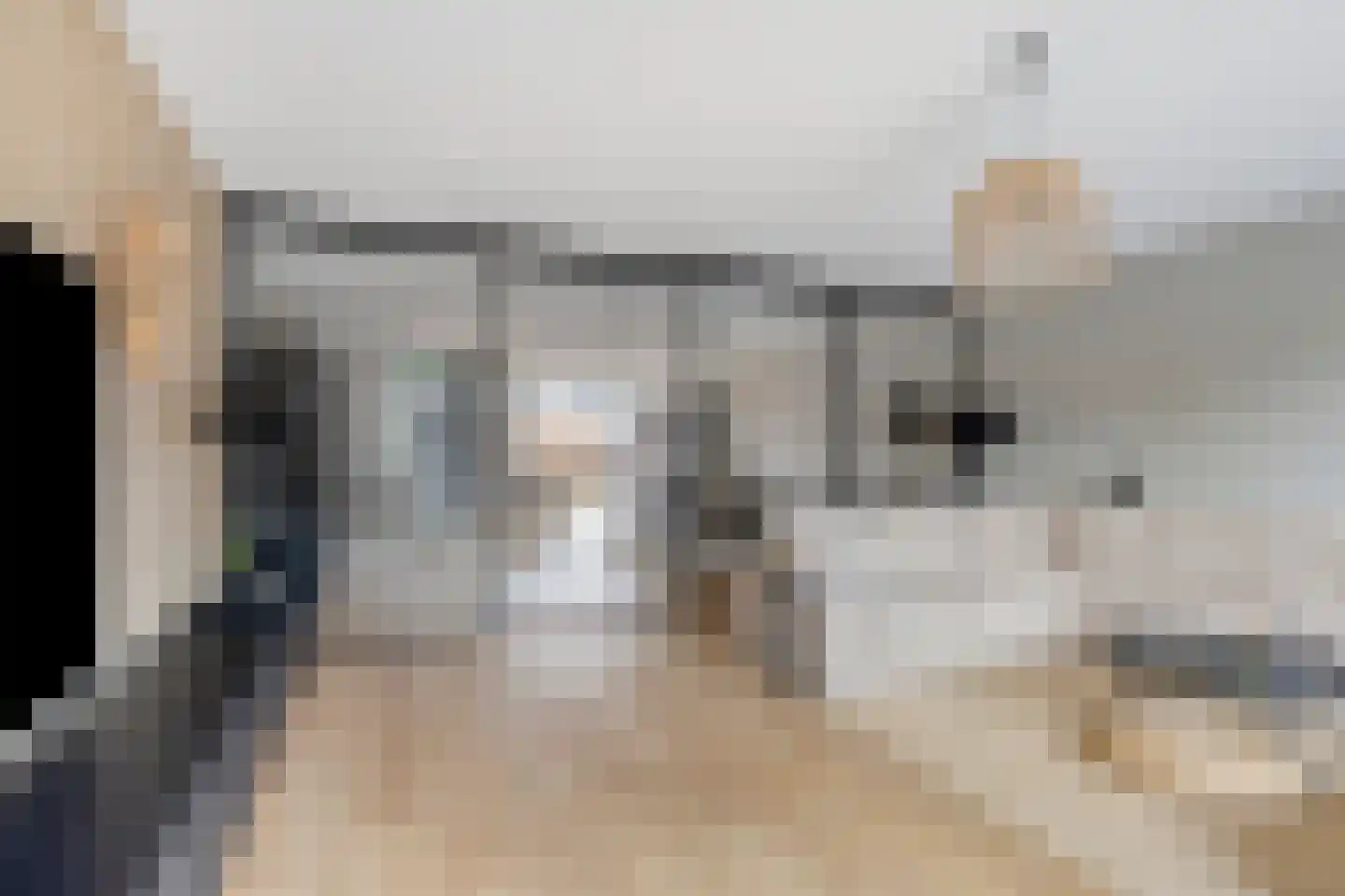 Voorneveldstraat 8 Pernis Rotterdam thumbnail 4