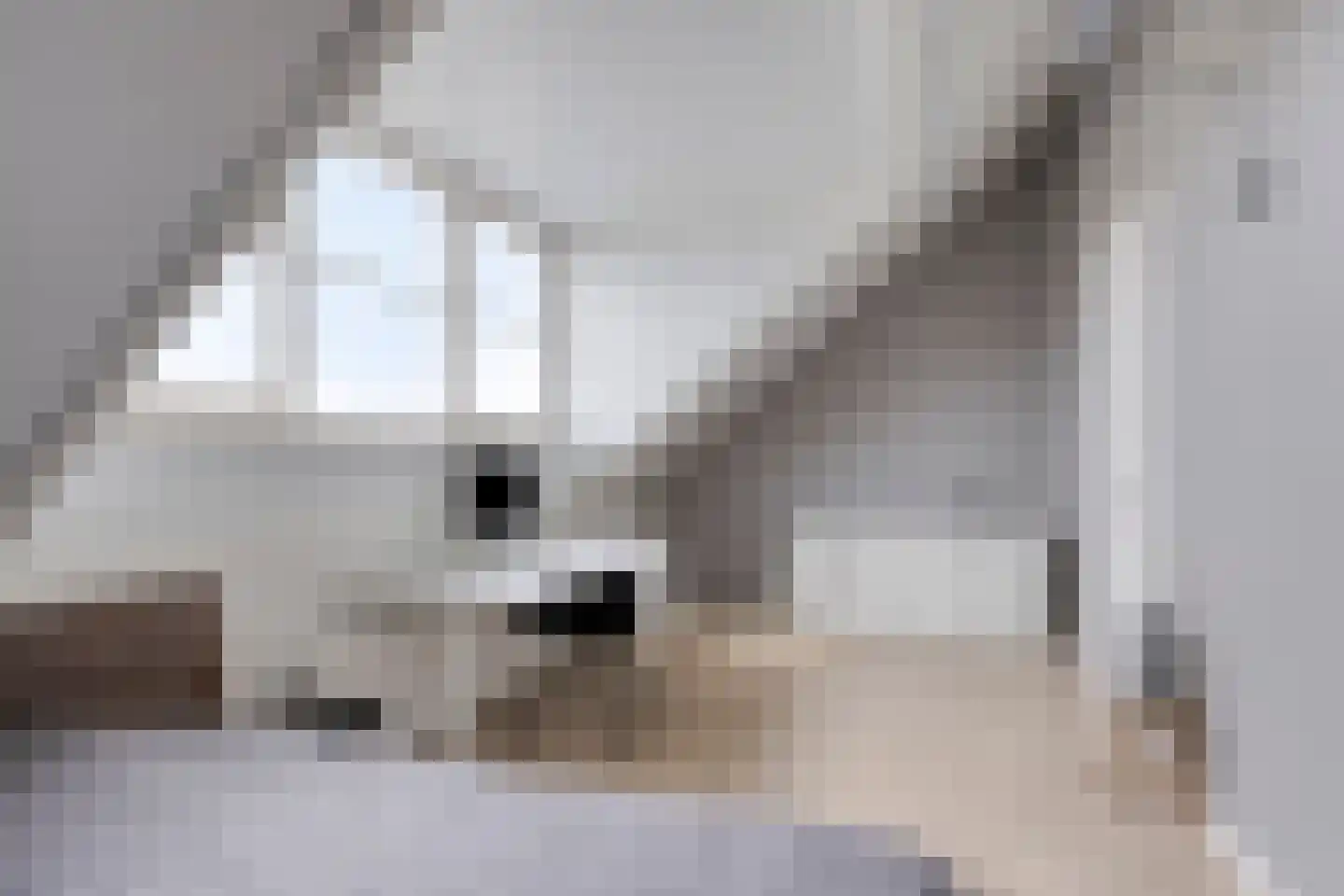 Voorneveldstraat 8 Pernis Rotterdam thumbnail 43
