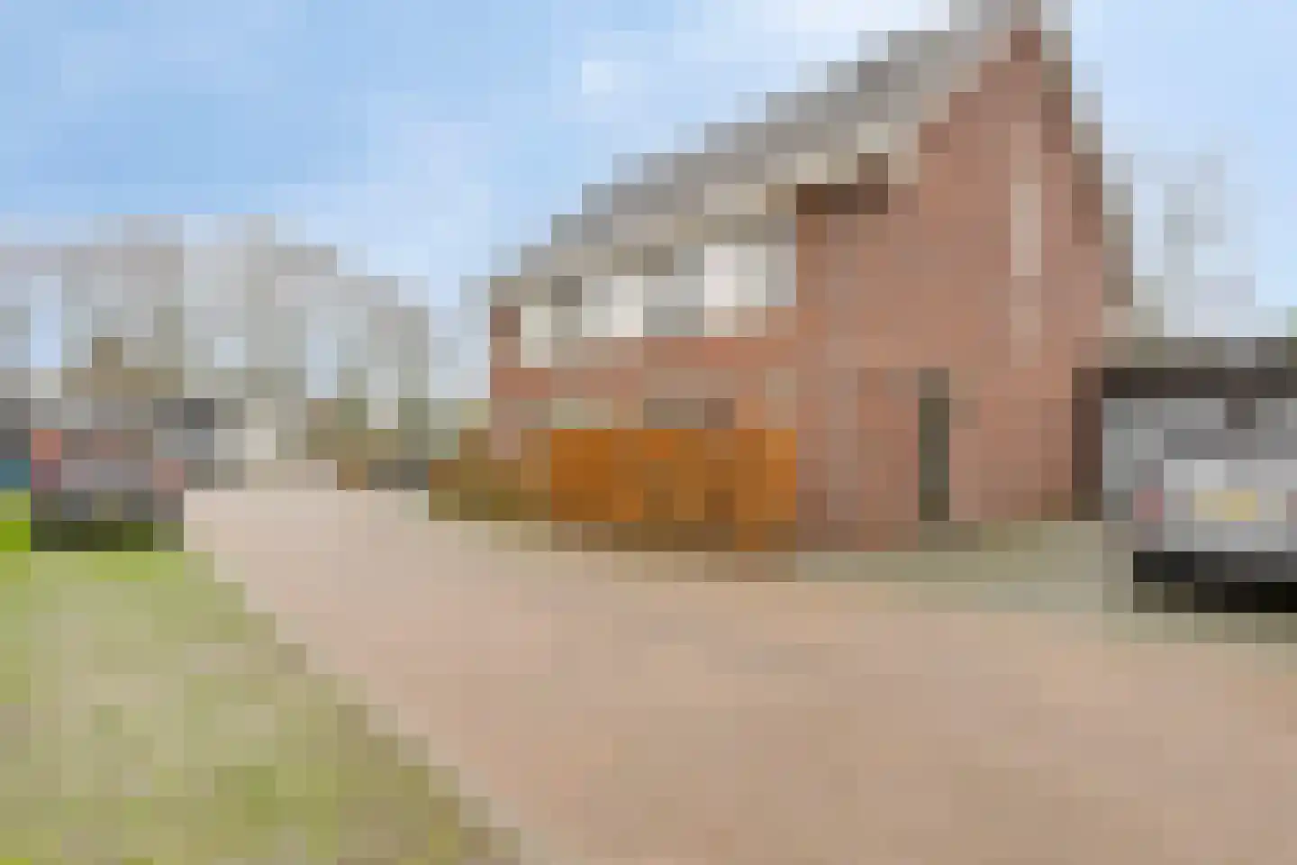 Voorneveldstraat 8 Pernis Rotterdam thumbnail 49