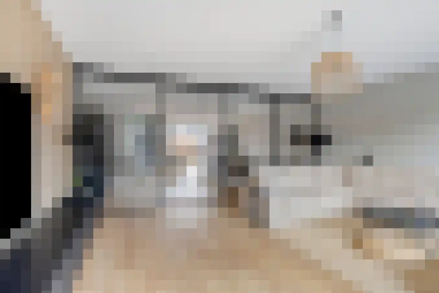 Voorneveldstraat 8 Pernis Rotterdam thumbnail 5