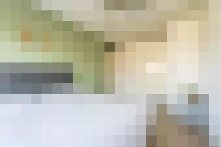 Voornhof 31 Voorhout thumbnail 14