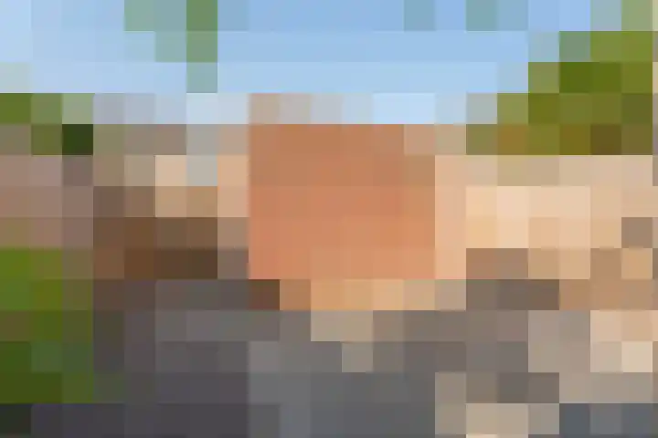 Voornhof 31 Voorhout thumbnail 29
