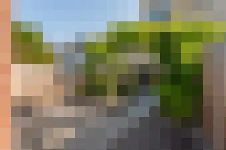Voornhof 31 Voorhout thumbnail 30