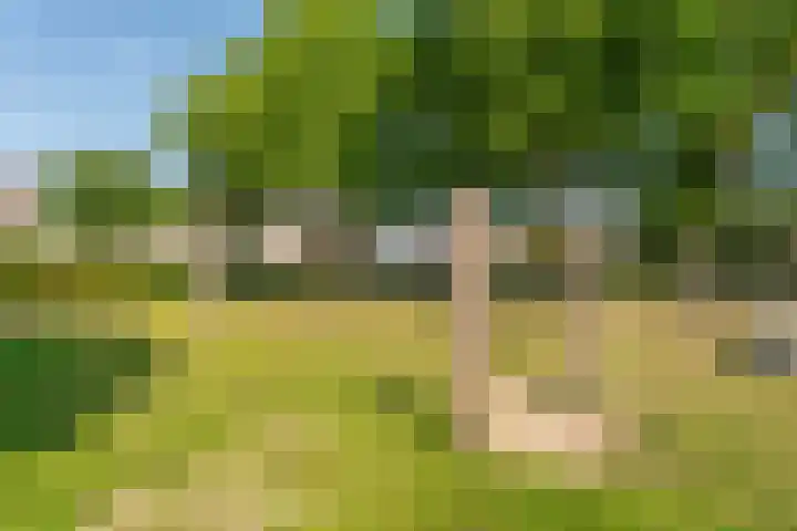 Voornhof 31 Voorhout thumbnail 33