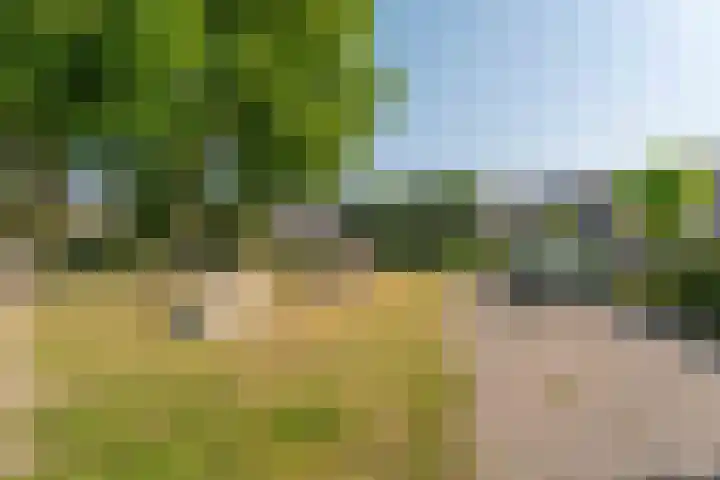 Voornhof 31 Voorhout thumbnail 34