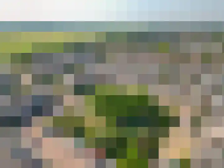 Voornhof 31 Voorhout thumbnail 37