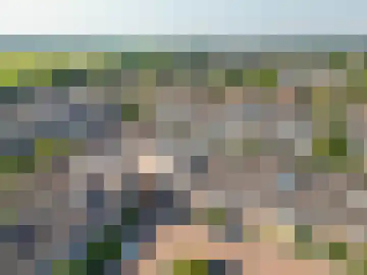 Voornhof 31 Voorhout thumbnail 38