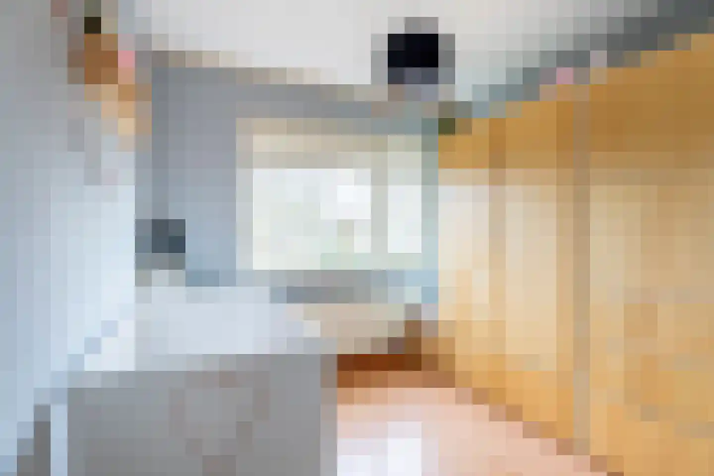 Voornhof 87 Voorhout thumbnail 16
