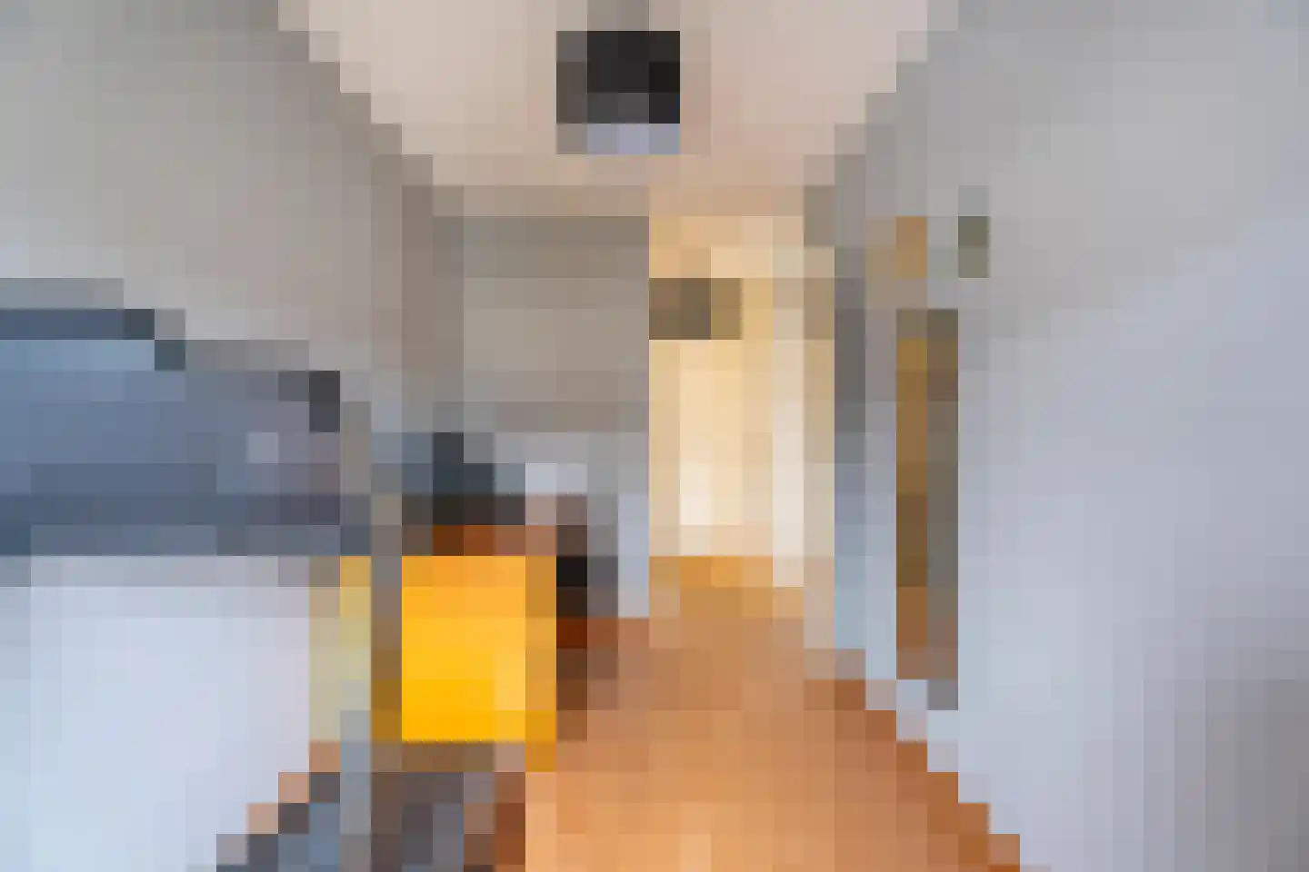 Voornhof 87 Voorhout thumbnail 20