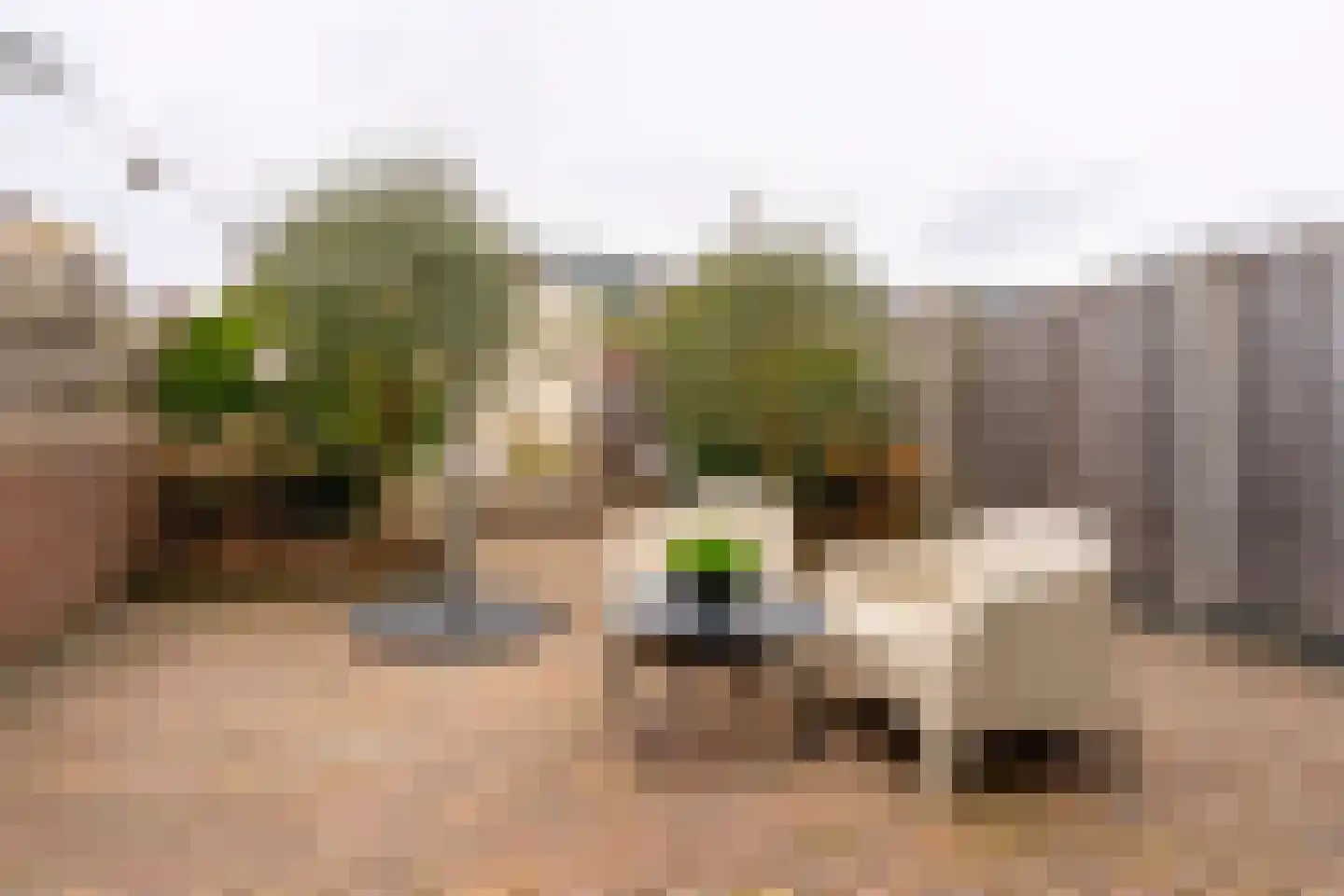 Voornhof 87 Voorhout thumbnail 28