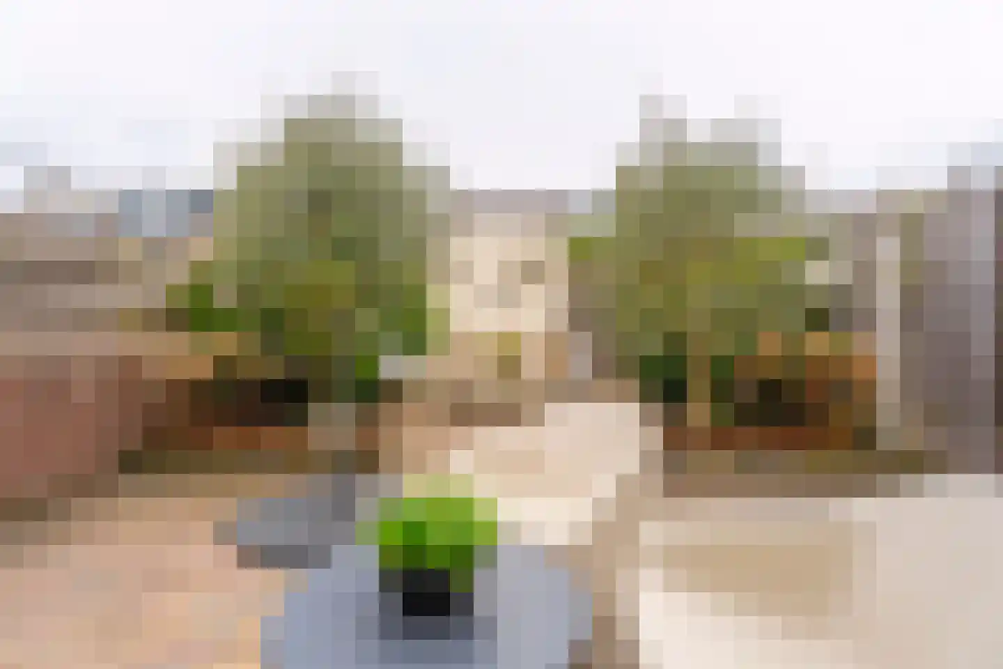 Voornhof 87 Voorhout thumbnail 29