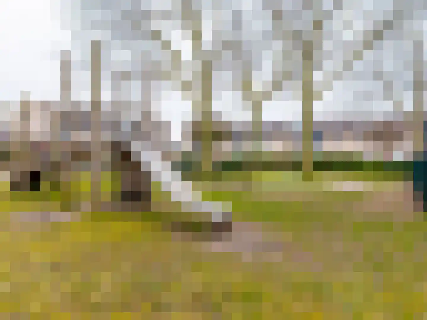 Voornhof 87 Voorhout thumbnail 32