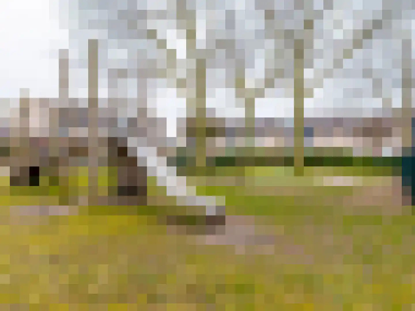 Voornhof 87 Voorhout thumbnail 32