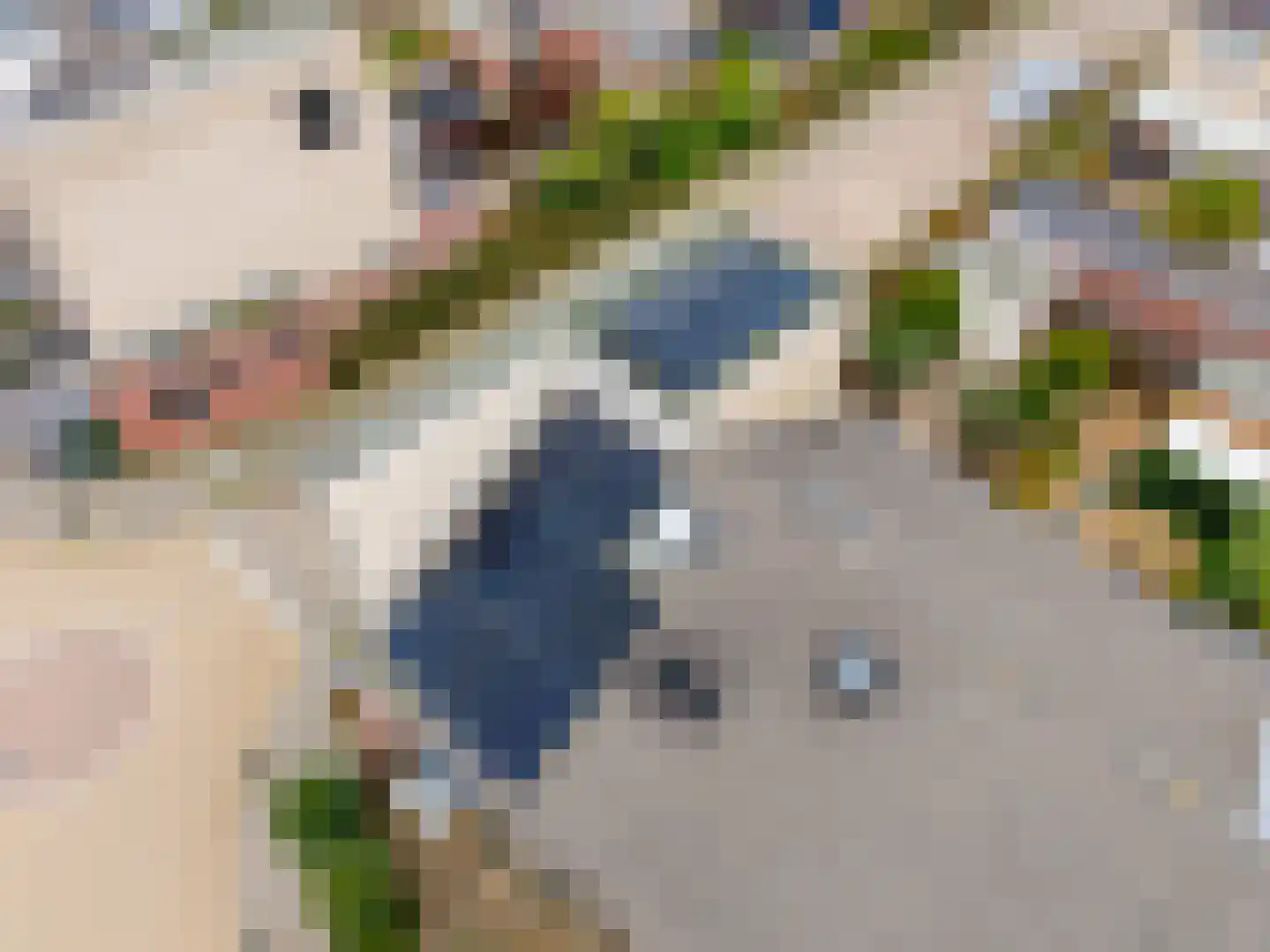 Voornhof 87 Voorhout thumbnail 35