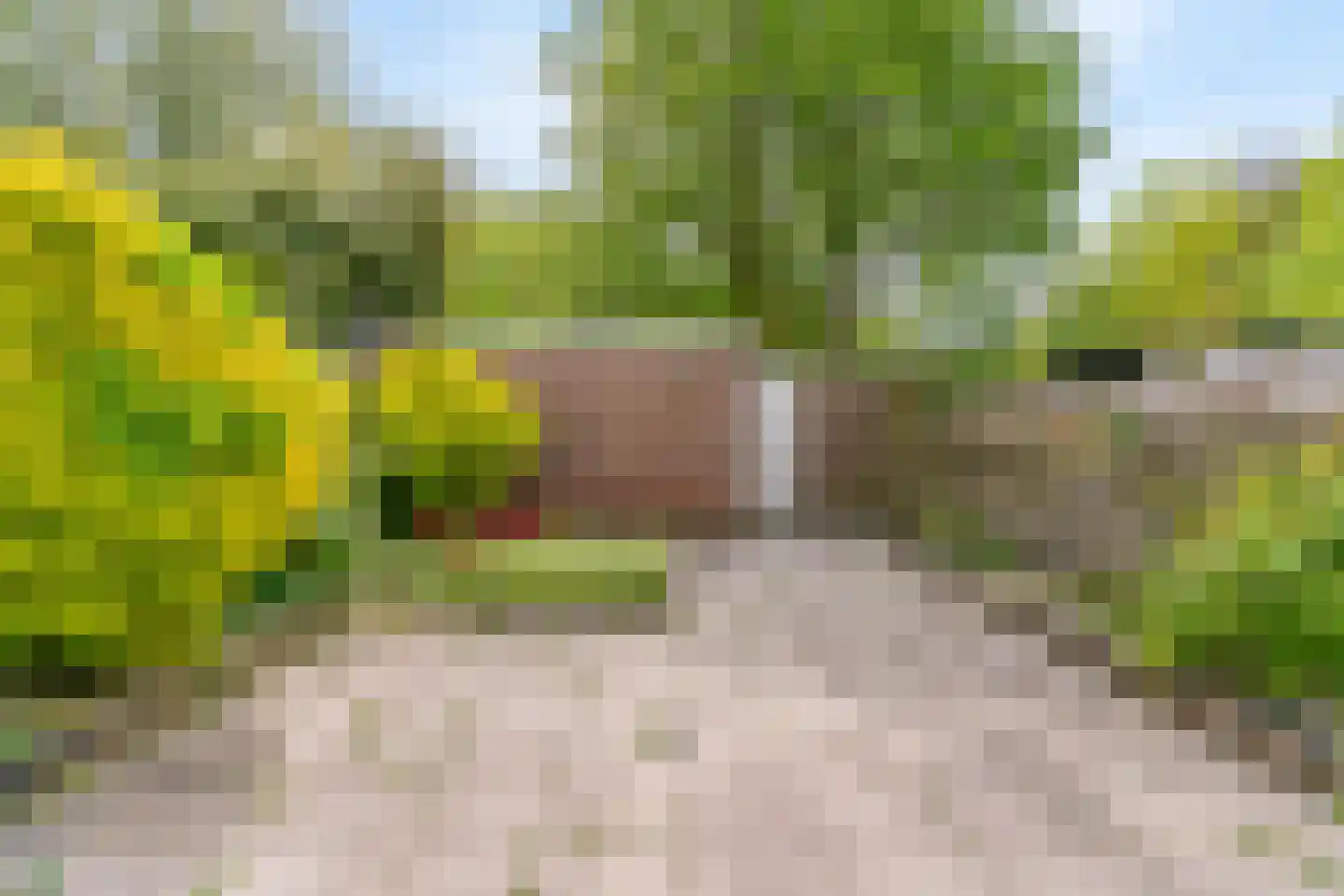 Voornsehoek 11 Amstelveen thumbnail 29