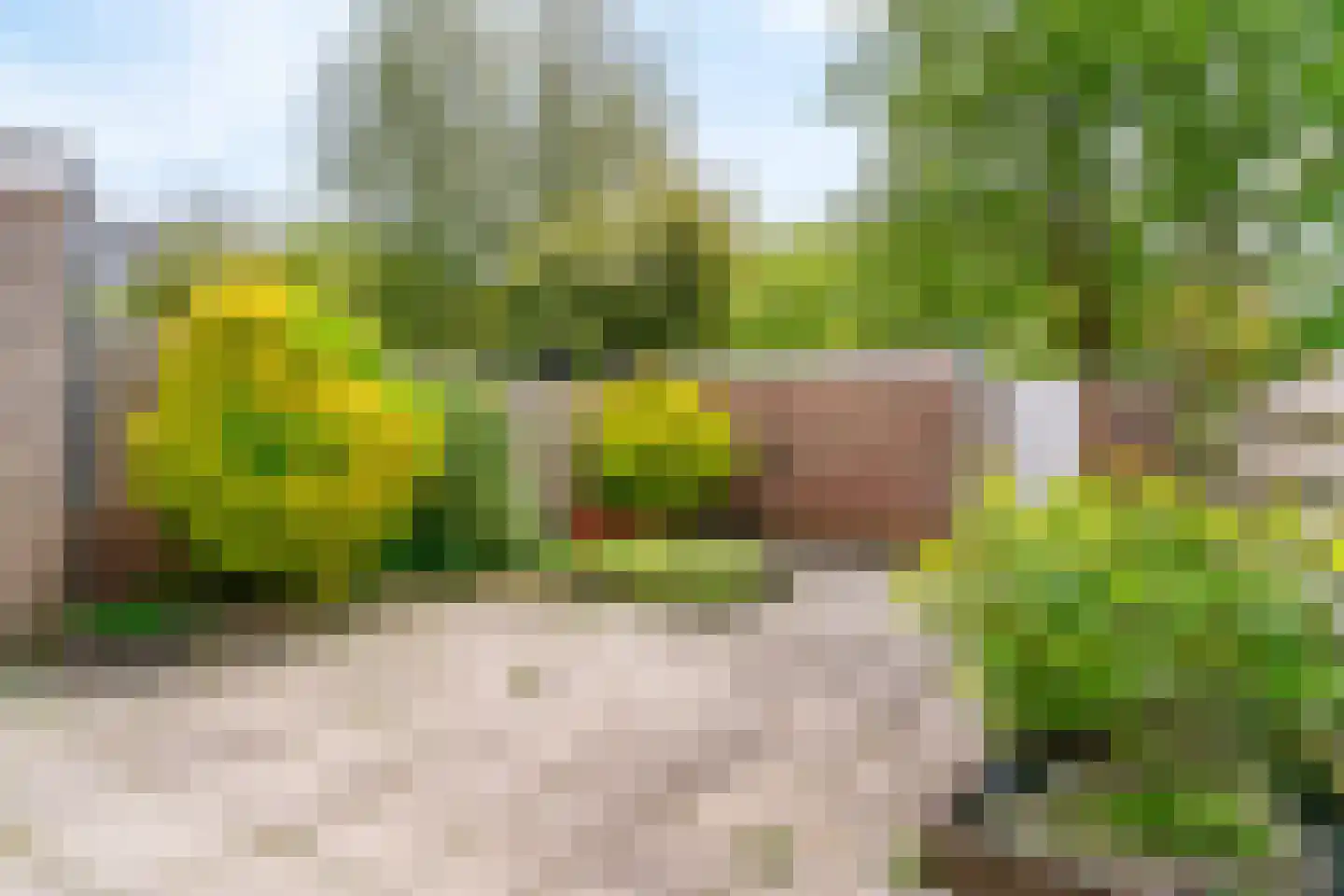 Voornsehoek 11 Amstelveen thumbnail 30
