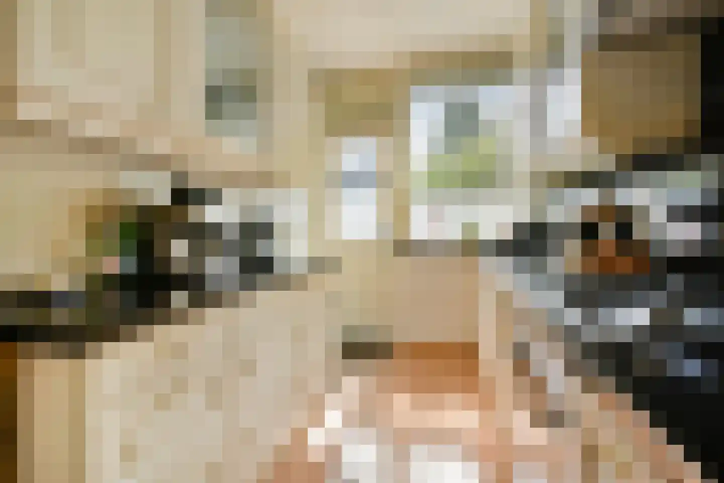 Voornsehoek 26 Amstelveen thumbnail 7