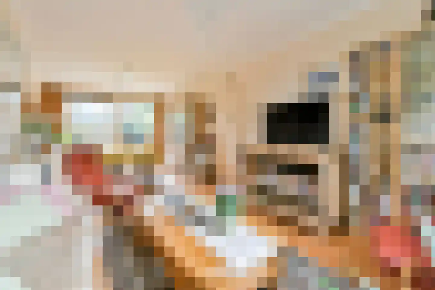 Voornsehoek 26 Amstelveen thumbnail 9