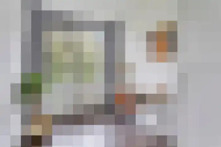Voornsehoek 27 Amstelveen thumbnail 12