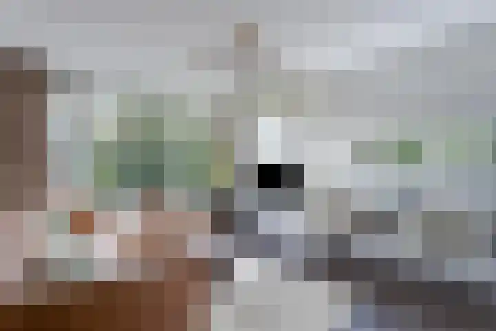 Voornsehoek 27 Amstelveen thumbnail 4