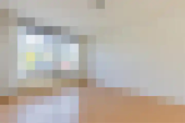 Voornsehoek 3 Amstelveen thumbnail 10