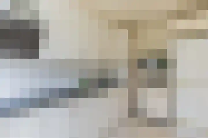 Voornsehoek 3 Amstelveen thumbnail 15