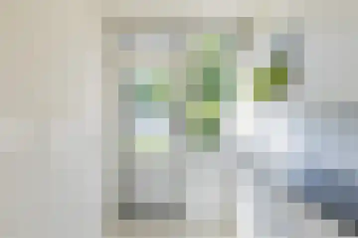 Voornsehoek 3 Amstelveen thumbnail 16