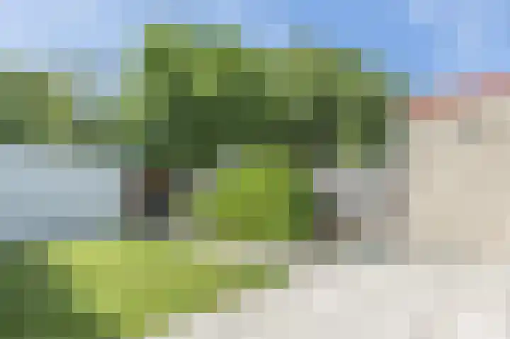 Voornsehoek 3 Amstelveen thumbnail 34