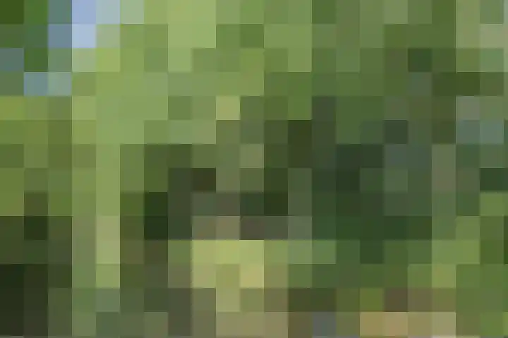 Voornsehoek 3 Amstelveen thumbnail 40