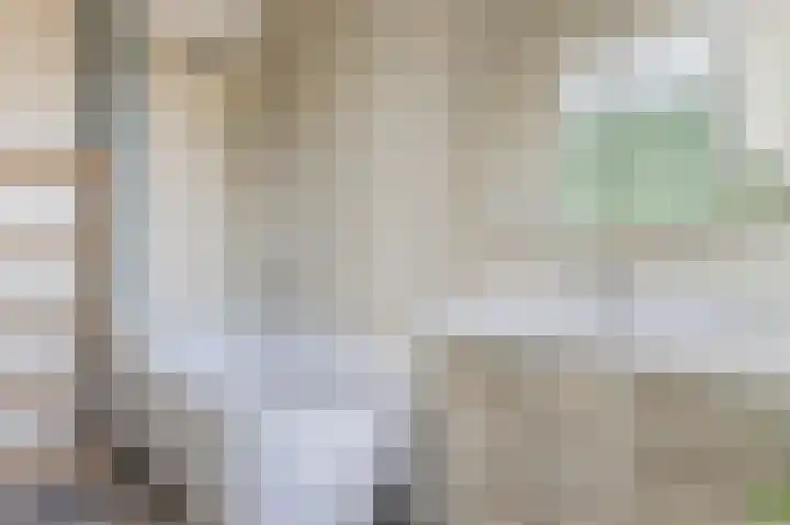 Voornsehoek 37 Amstelveen thumbnail 34