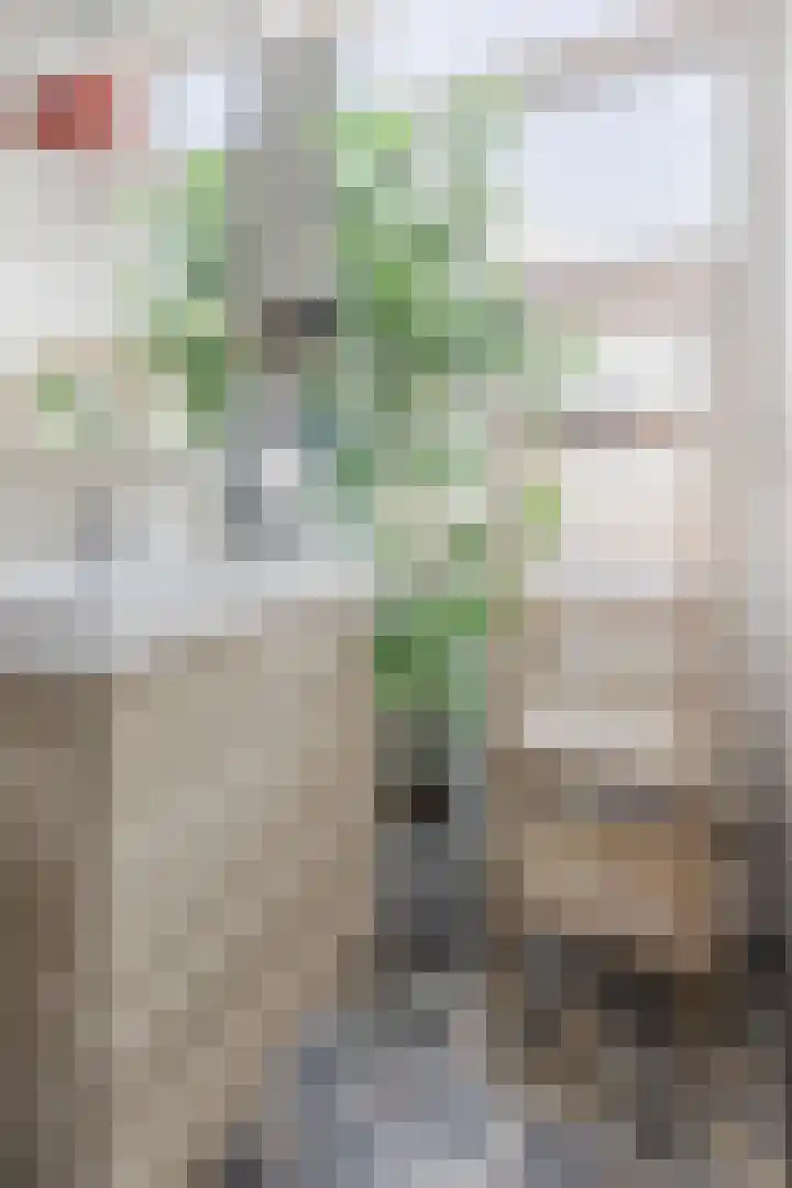 Voornsehoek 37 Amstelveen thumbnail 36