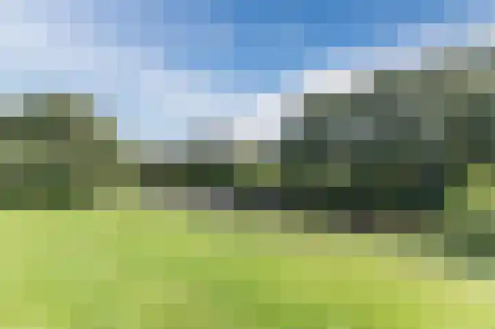Voornsehoek 37 Amstelveen thumbnail 45