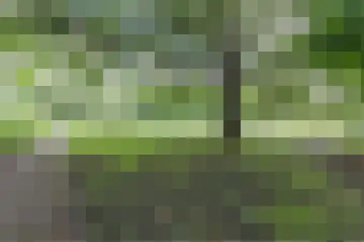 Voornsehoek 37 Amstelveen thumbnail 46