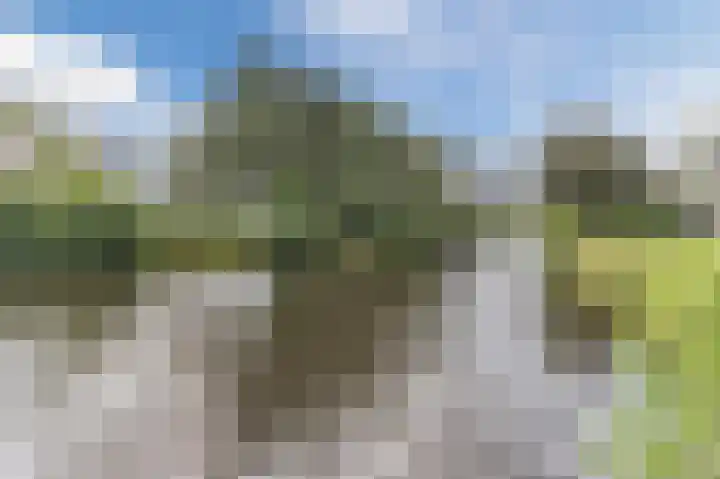 Voornsehoek 37 Amstelveen thumbnail 48