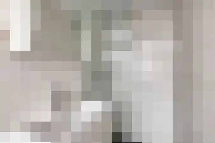 Voornsehoek 55 Amstelveen thumbnail 11