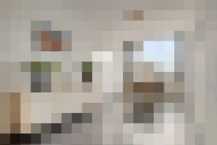 Voornsehoek 55 Amstelveen thumbnail 4