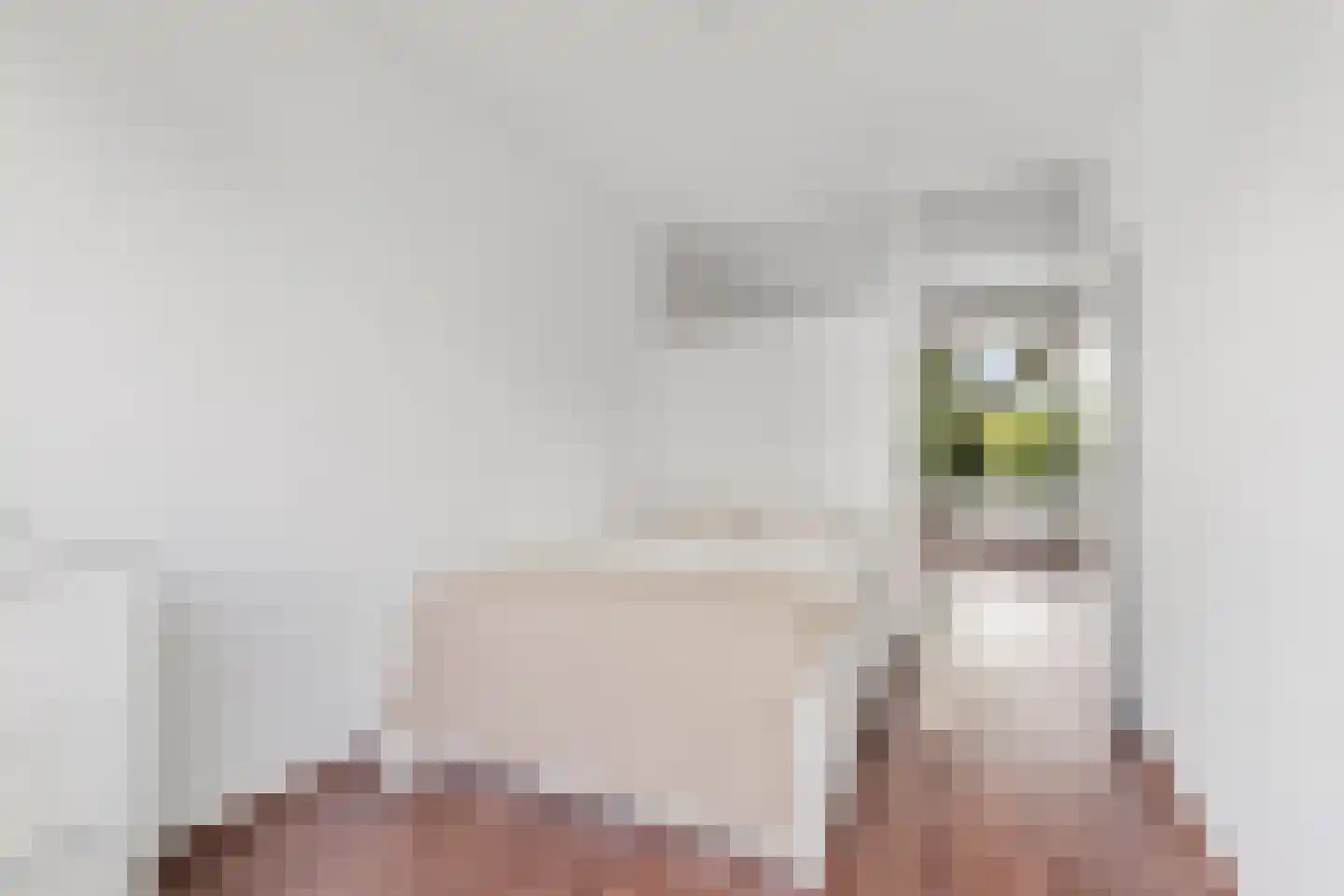 Voornsehoek 85 Amstelveen thumbnail 9