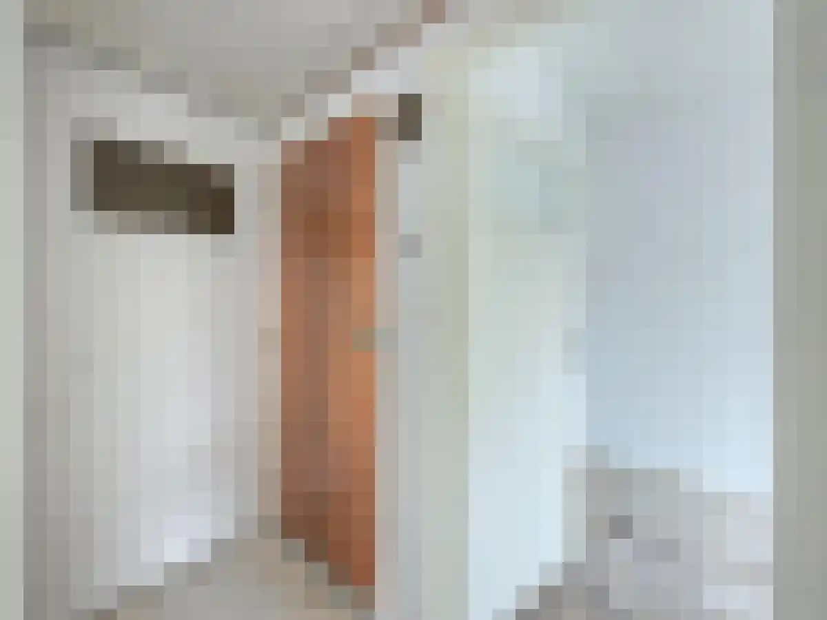 Voornsestraat 21 Rotterdam thumbnail 6