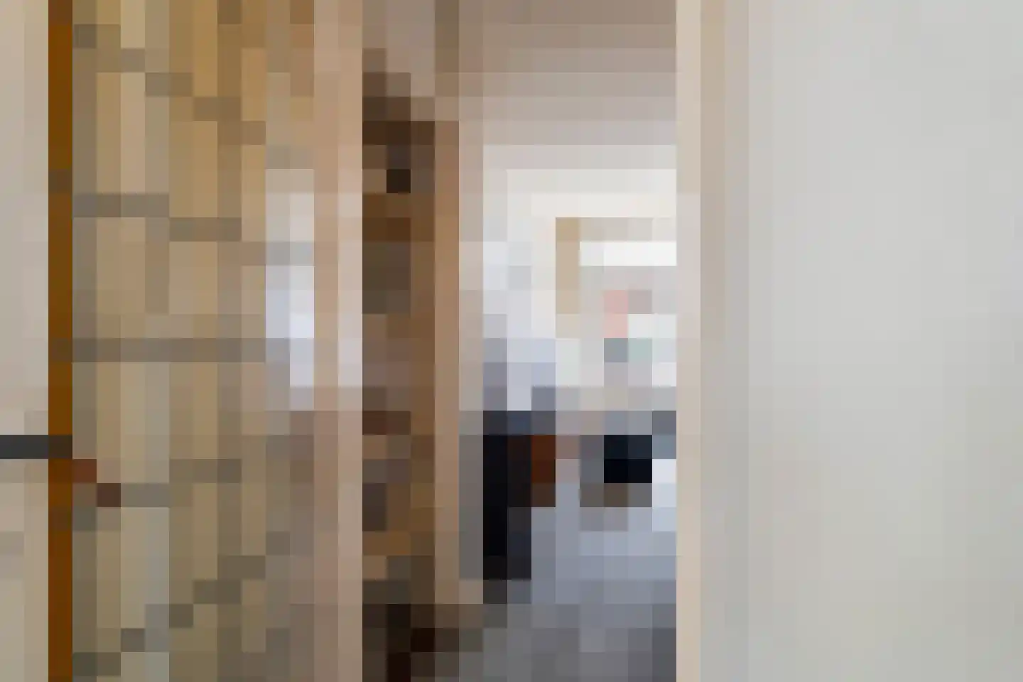 Voornsestraat 36 Den Haag thumbnail 14