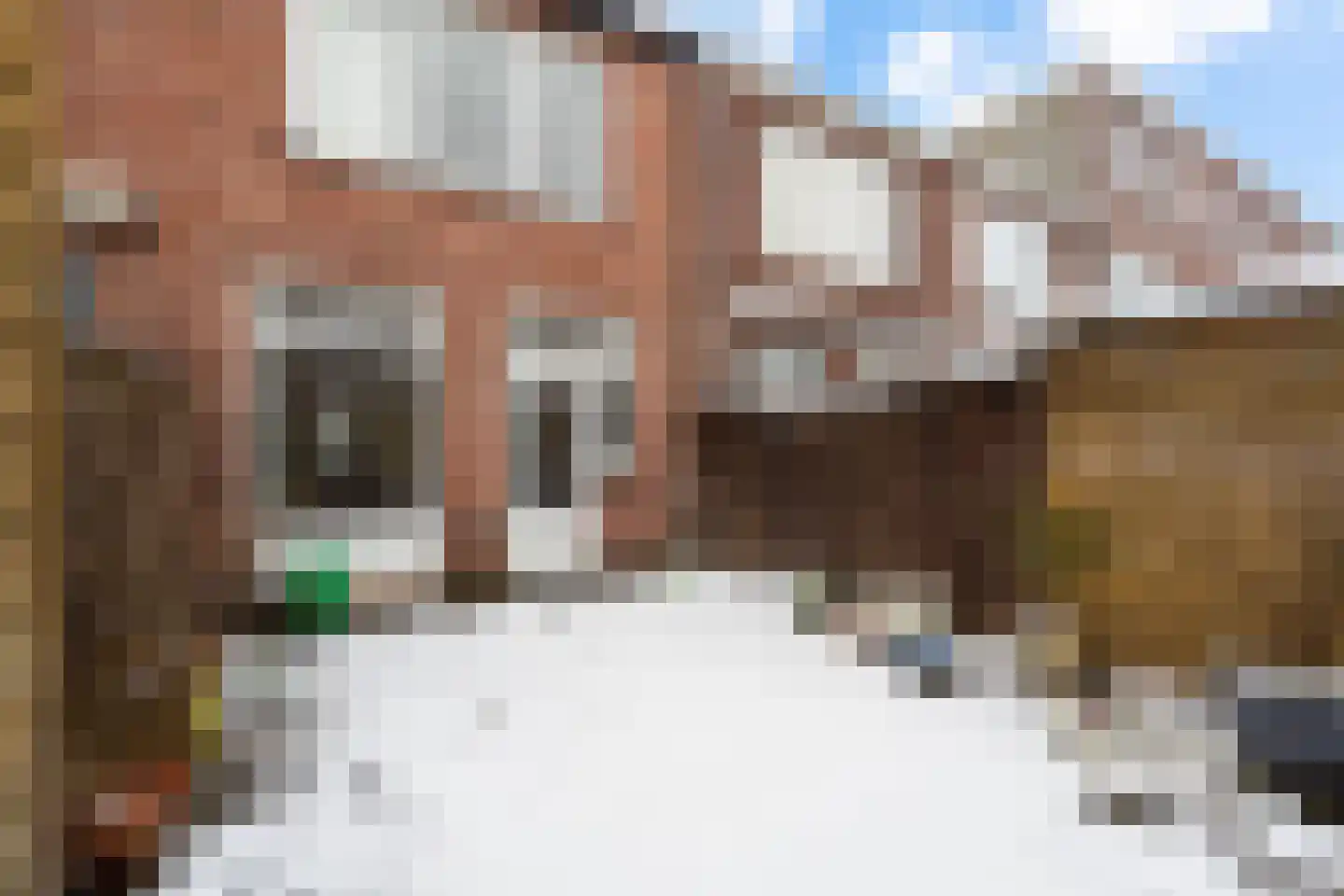 Voornsestraat 36 Den Haag thumbnail 20