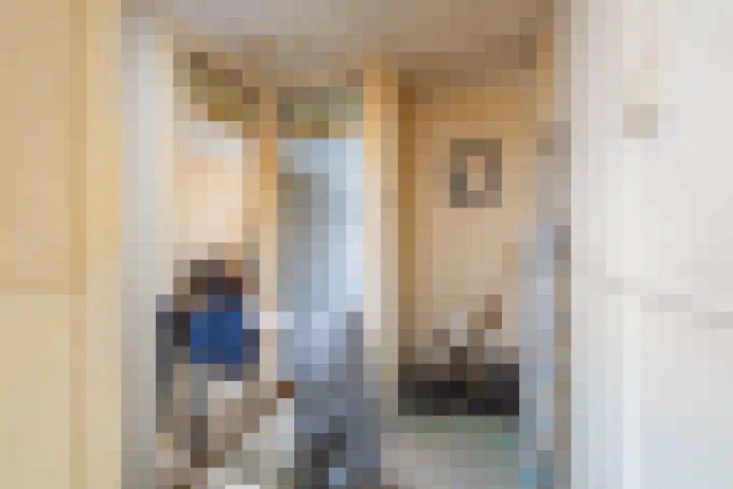 Voornsestraat 36 Den Haag thumbnail 22