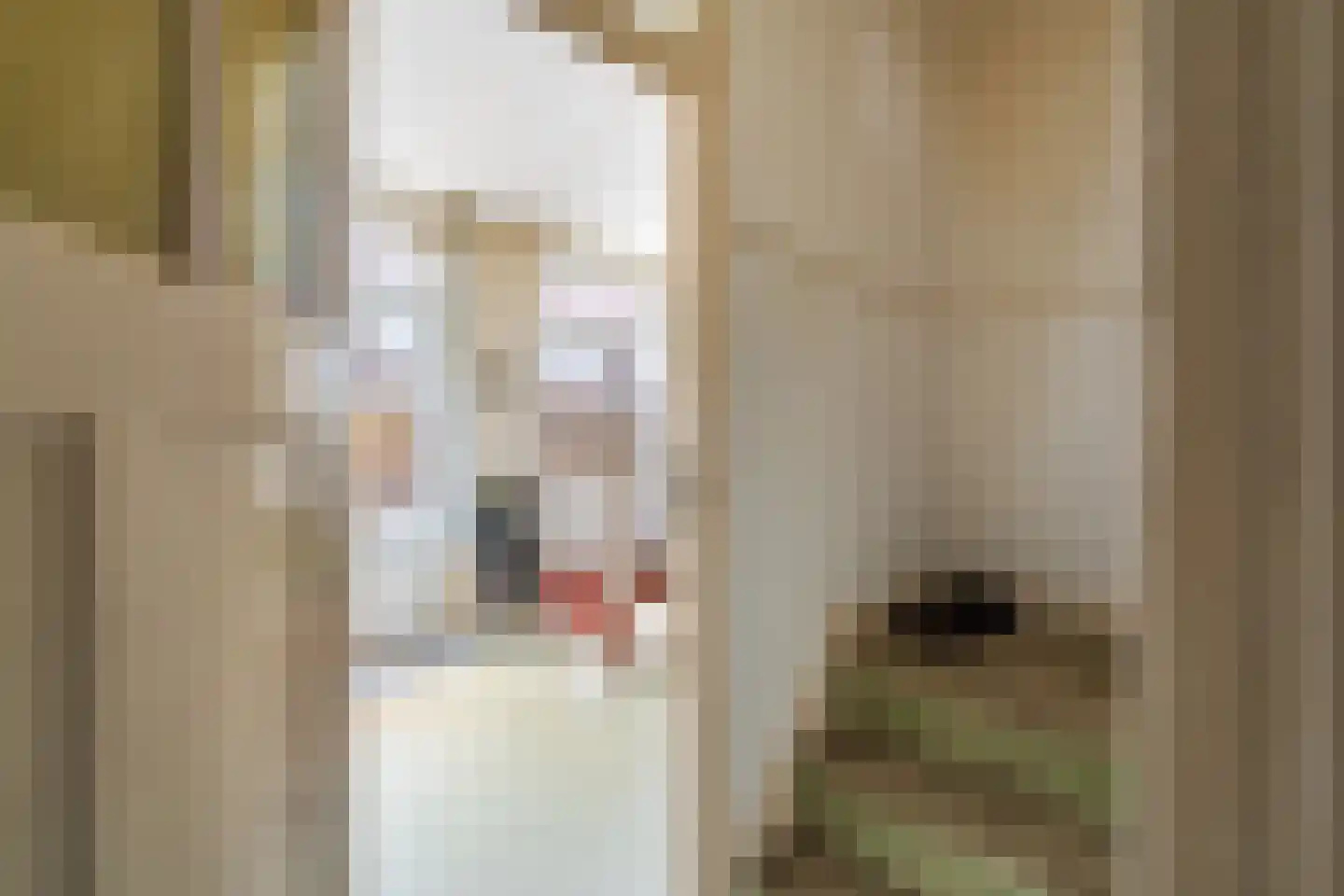 Voornsestraat 36 Den Haag thumbnail 8