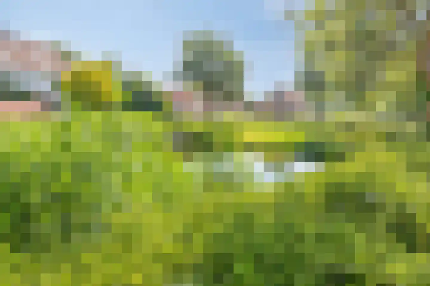 Voornsestraat 39 Hellevoetsluis thumbnail 27